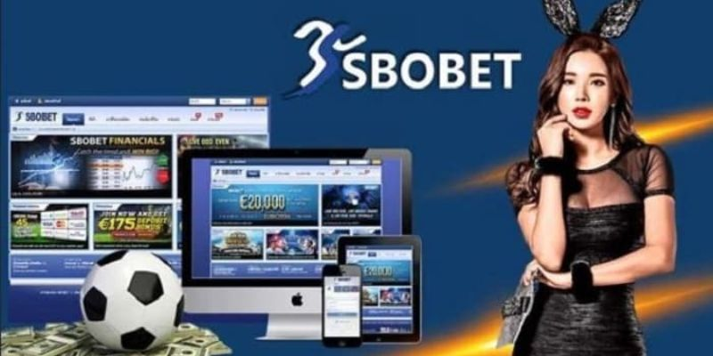 tham gia hack SBOBET